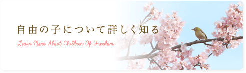 自由の子について詳しく知る